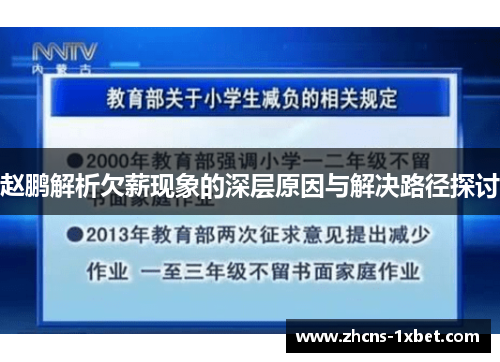 赵鹏解析欠薪现象的深层原因与解决路径探讨